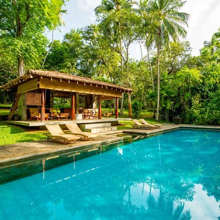 The River House By Asia Leisure Balapitiya Ngoại thất bức ảnh